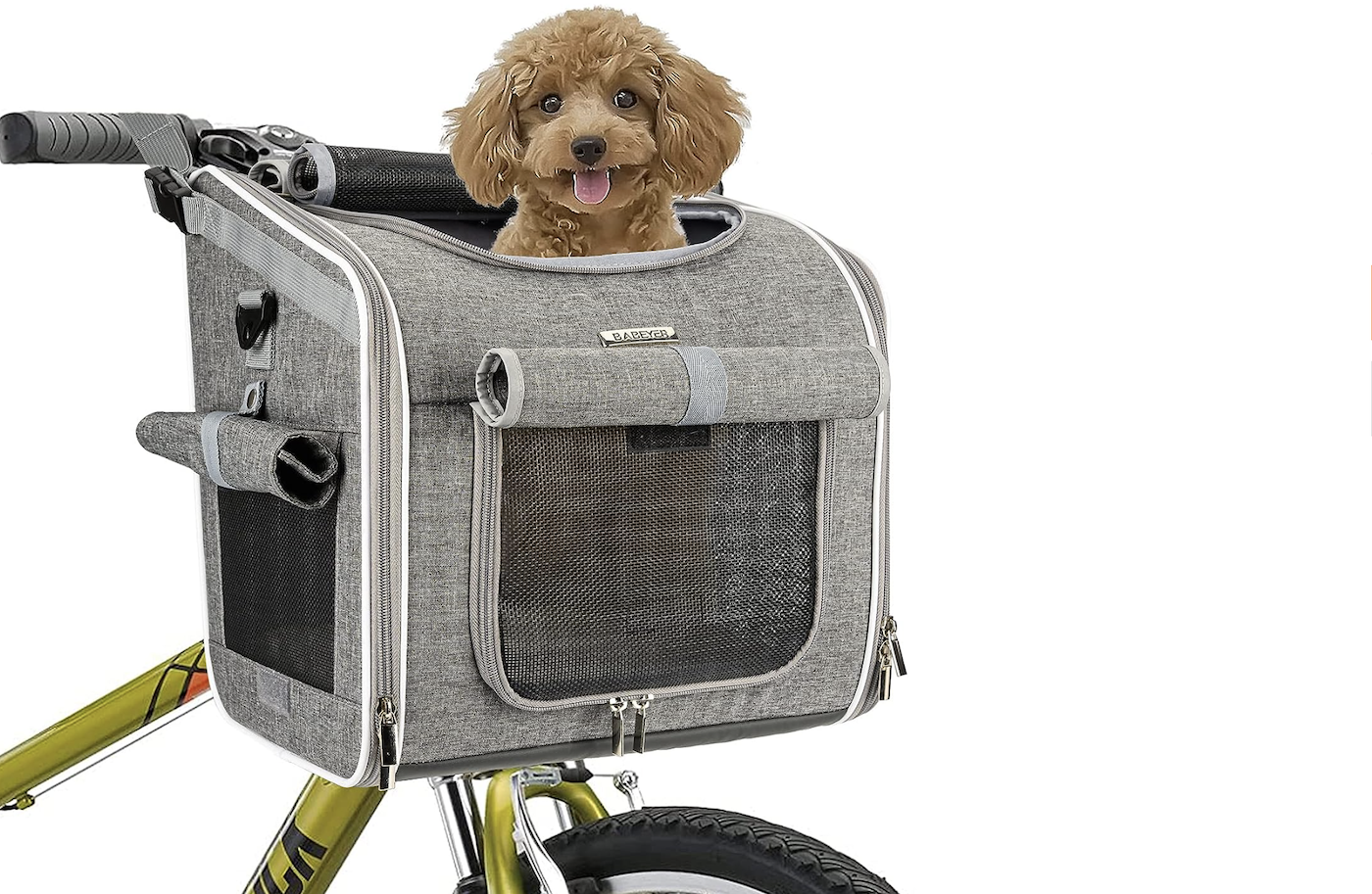Dog being carried in bike basket