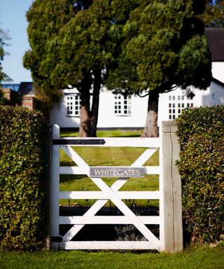 Rustic wooden garden gate in white in front of a lawn with trees.