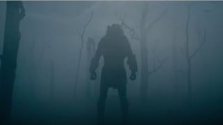 A predator in the mist