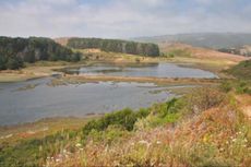 conservation, Drakes Estero