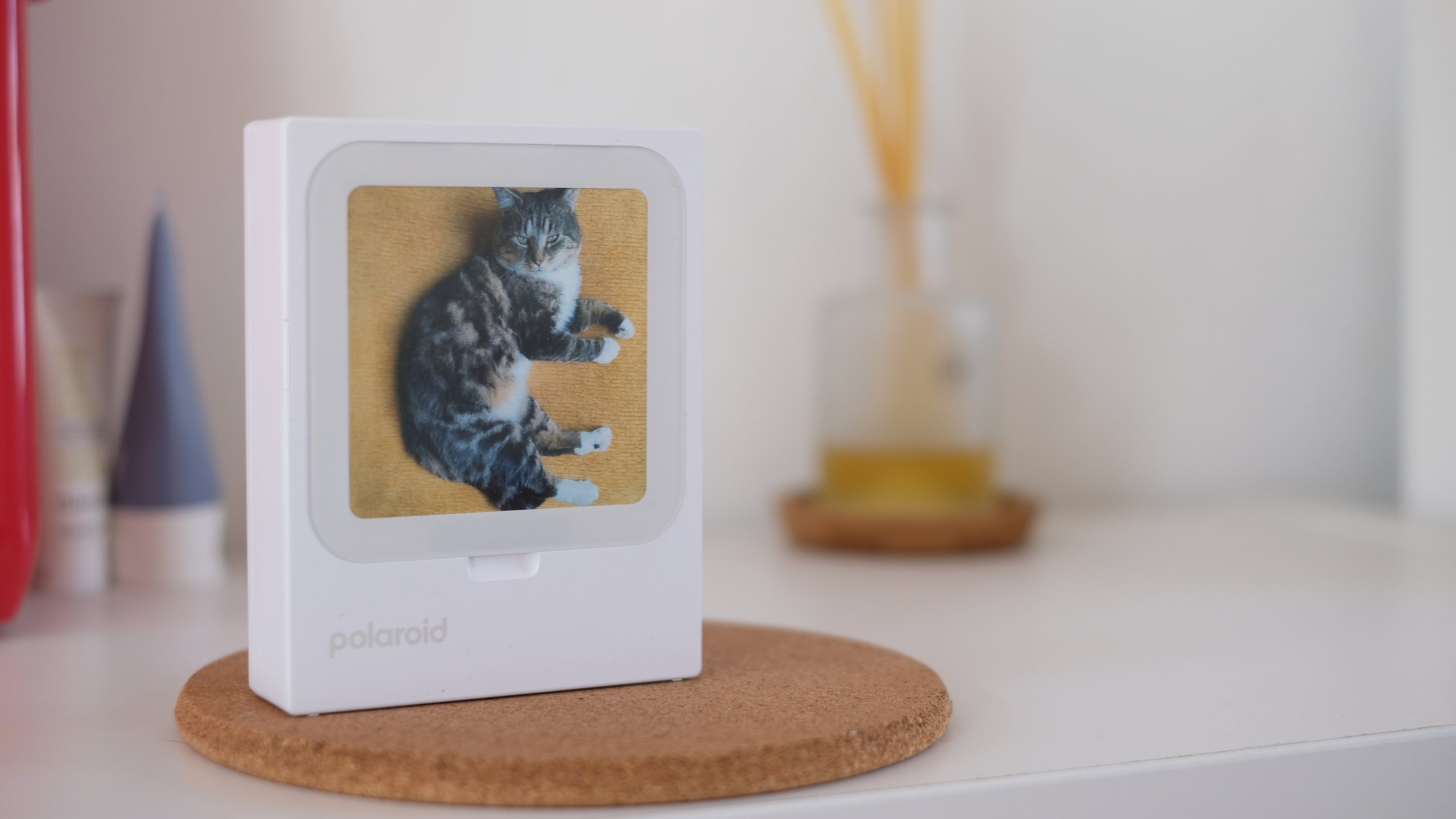 Photograph of Polaroid Hi-Print 3x3 mini instant printer displaying a photo of a very good cat