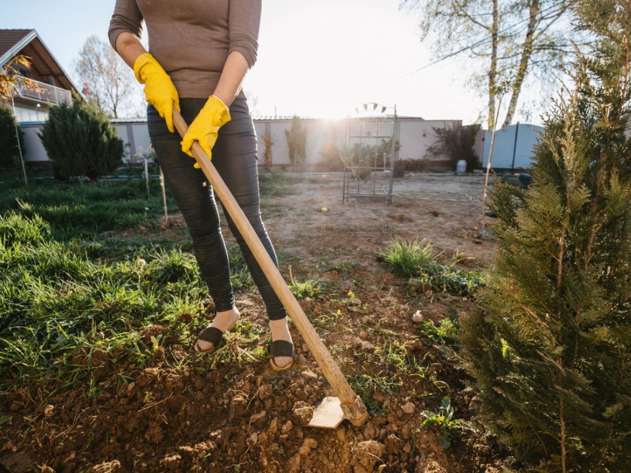 Gardener With Gardening Tools In The Garden