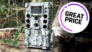 Bushnell Core DS 4K trail camera on a tree stump