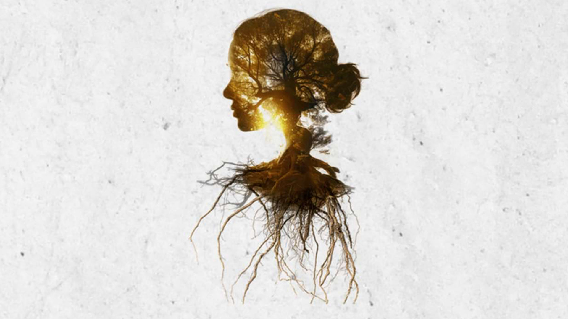 Coven play programme image.