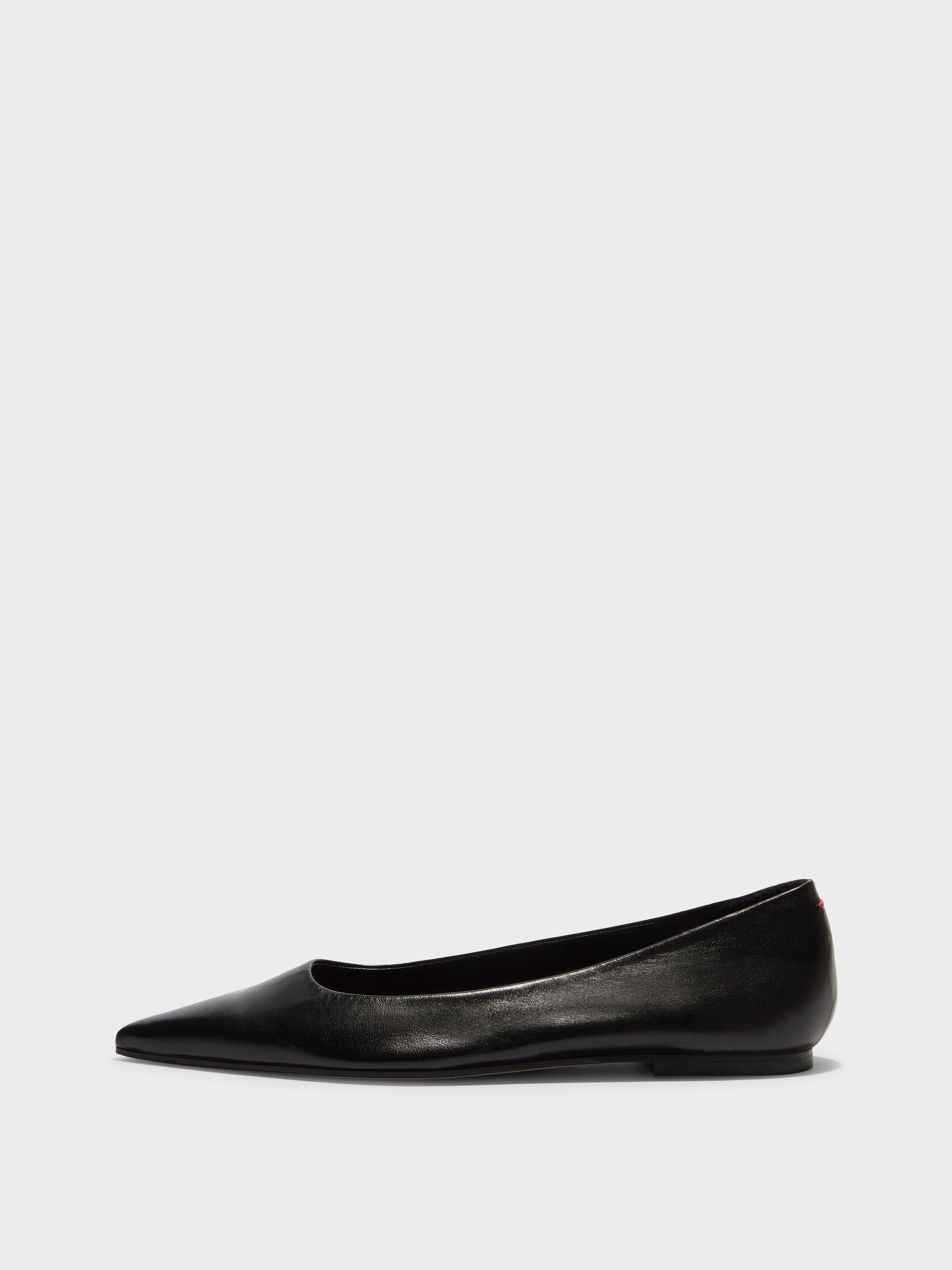 Cassy Pointed-Toe Flats