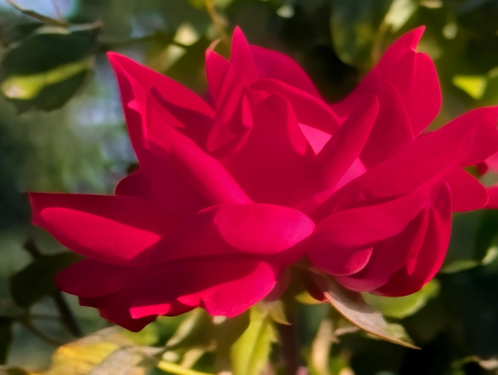 Google Pixel 10 Pro XL Pro Res Zoom sample.