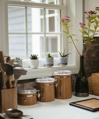 A white kitchen countertop with three different sized wooden canisters, a wooden box with kitchen utensils, a wine bottle with flowers in it, and a white window with four succulents on it