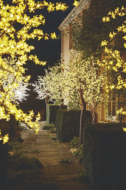 simple christmas light ideas for outdoor trees