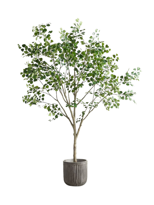 Faux Shady Lady Olive Tree