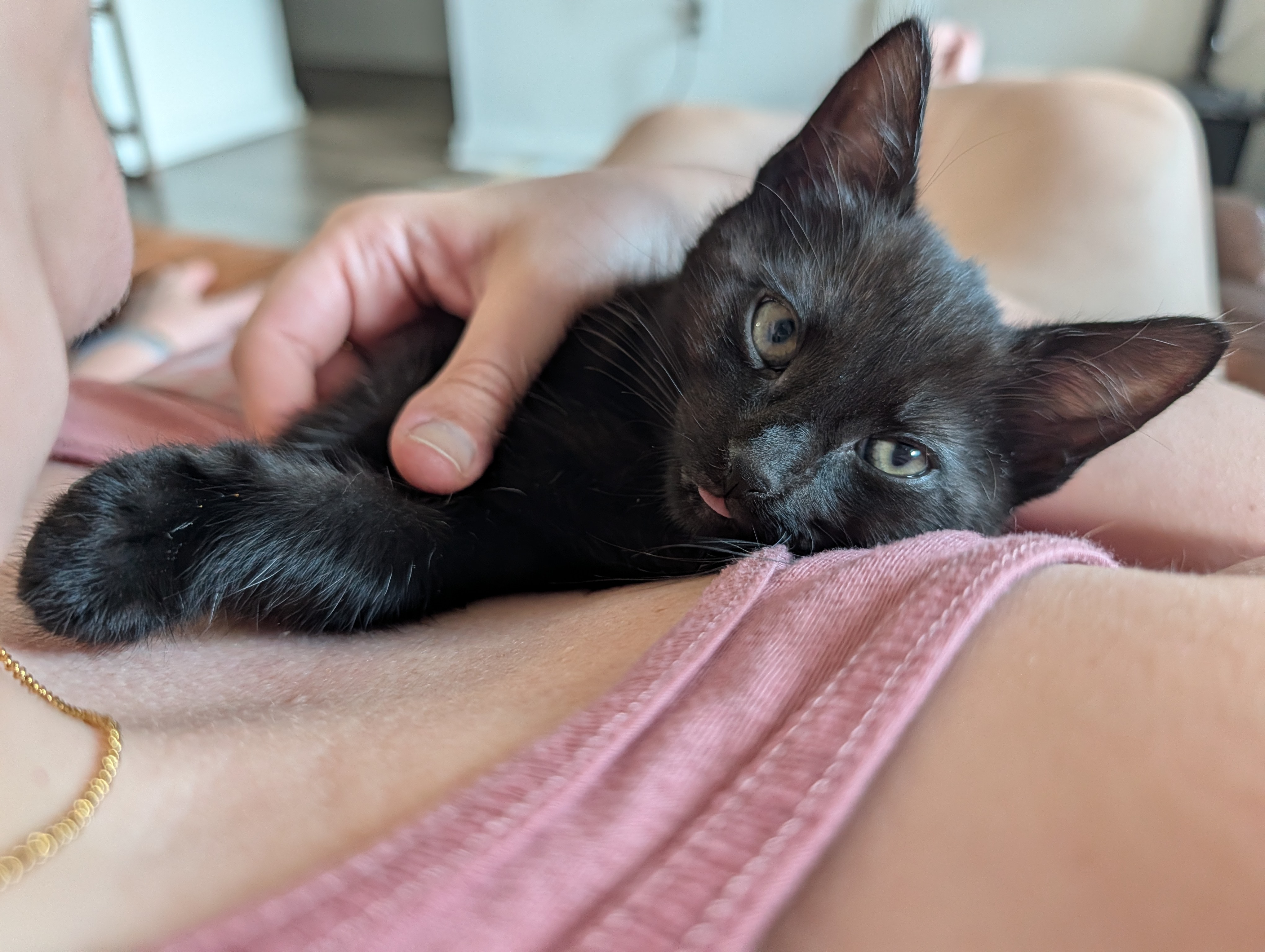 Camera image samples taken with the Google Pixel 10 Pro XL