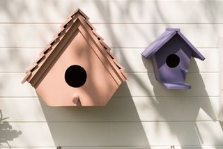 bird box in garden