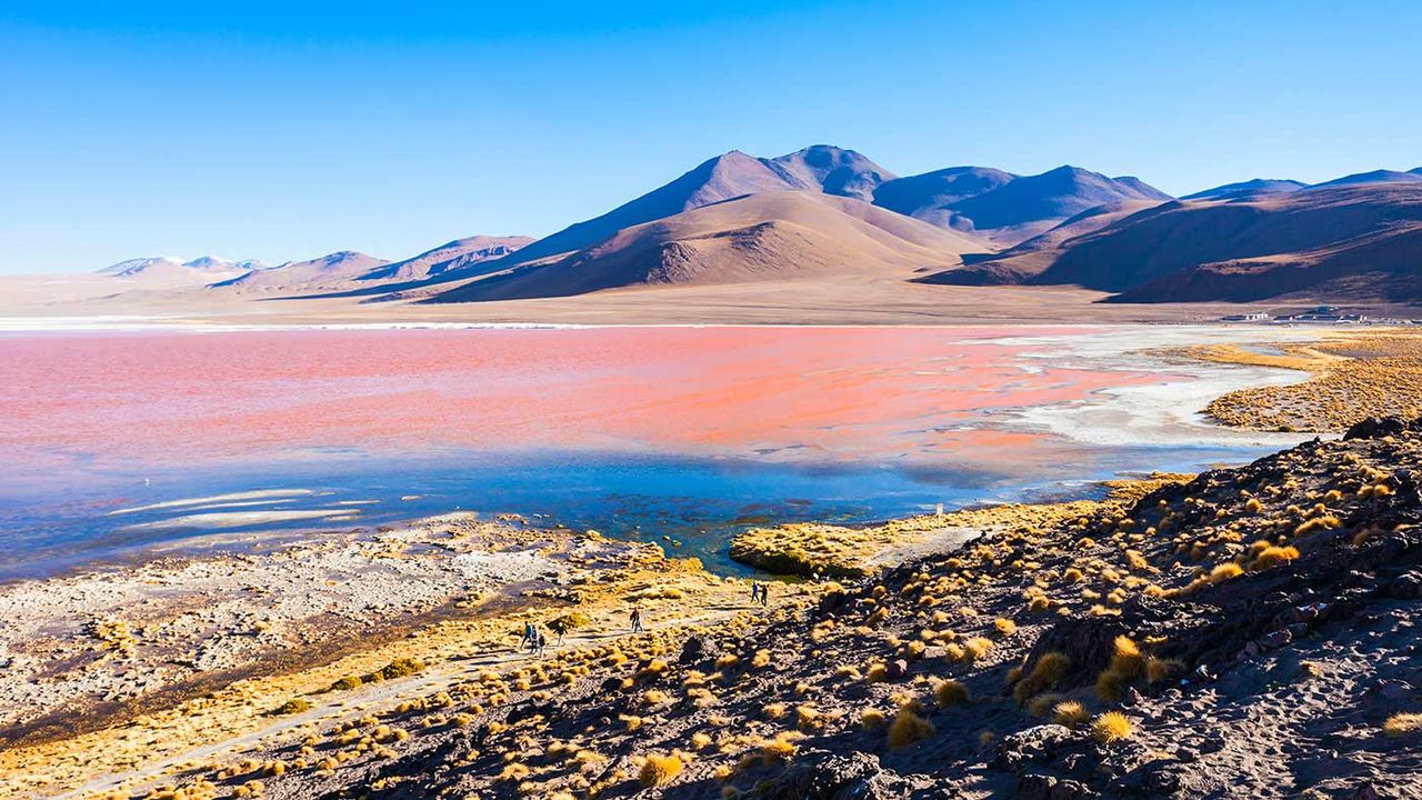 The Laguna Colorada lake in Bolivia