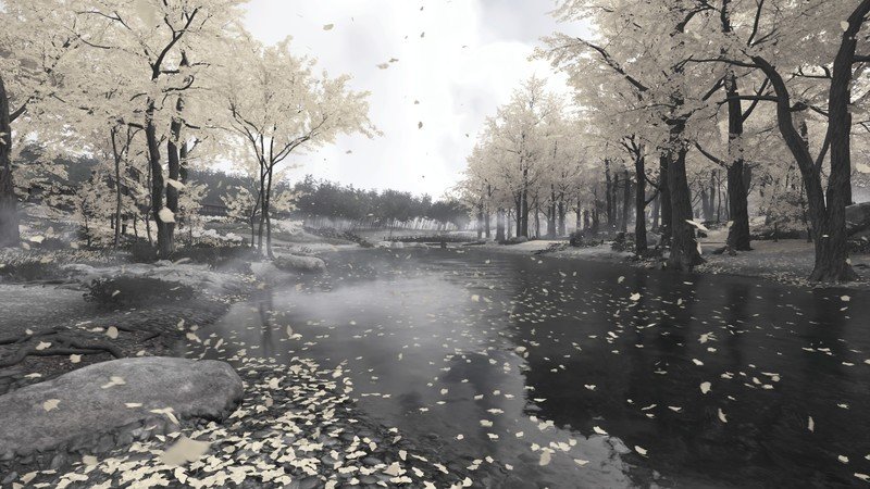 Ghost Of Tsushima Bw Forest