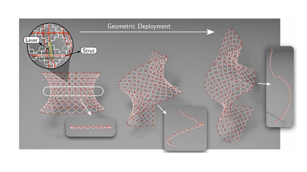 New flexible ‘metamaterial’ inspired by nature could help us build shapeshifting space habitats and telescopes