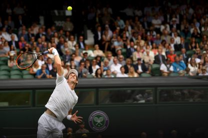Andy Murray at Wimbledon 2017