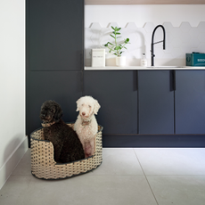 ath kitchen modern bedroom garden clad white dog familyGenerated Keywords: