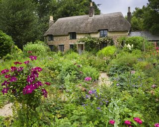 Victorian cottage garden of thomas hardy's former home Hardy's Cottage National Trust