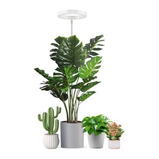 Indoor plant light above potted plants
