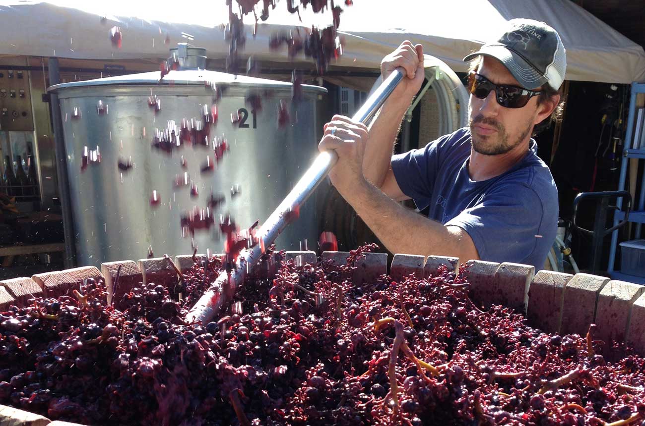 Pressing-Whole-Cluster-Pinot-Noir_Winemaker-Phillip-Baxter_Baxter-Winery_IMG_6574.jpg
