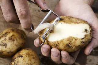 Potatoes being peeled for the potato diet, an extreme diet