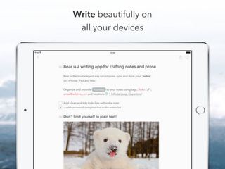 Bear (Free)