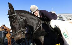 Kasilia-Amy-Brown-winners-of-Racing-to-Hunting-Challenge-.jpg