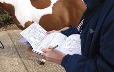 vetting a horse with paperwork and passport forms