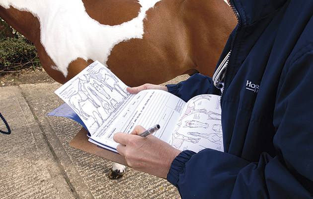 vetting a horse with paperwork and passport forms