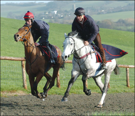 Andrew Nicholson enjoys working Detroit City on the gallops
