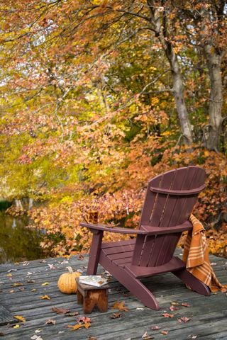 fall backyard with deck and autumn leaves by Benjamin Moore