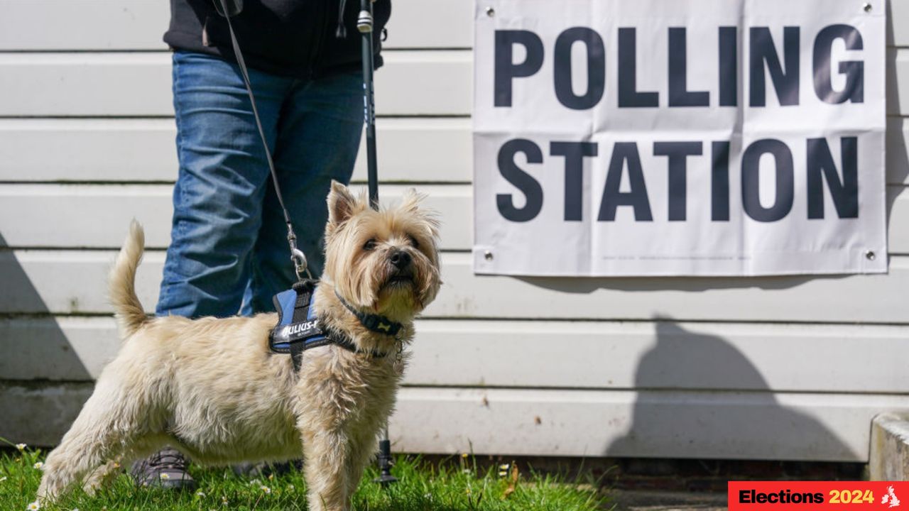 A dog waits outside a polling station as voters go to the polls in the general election on 4 July 2024.