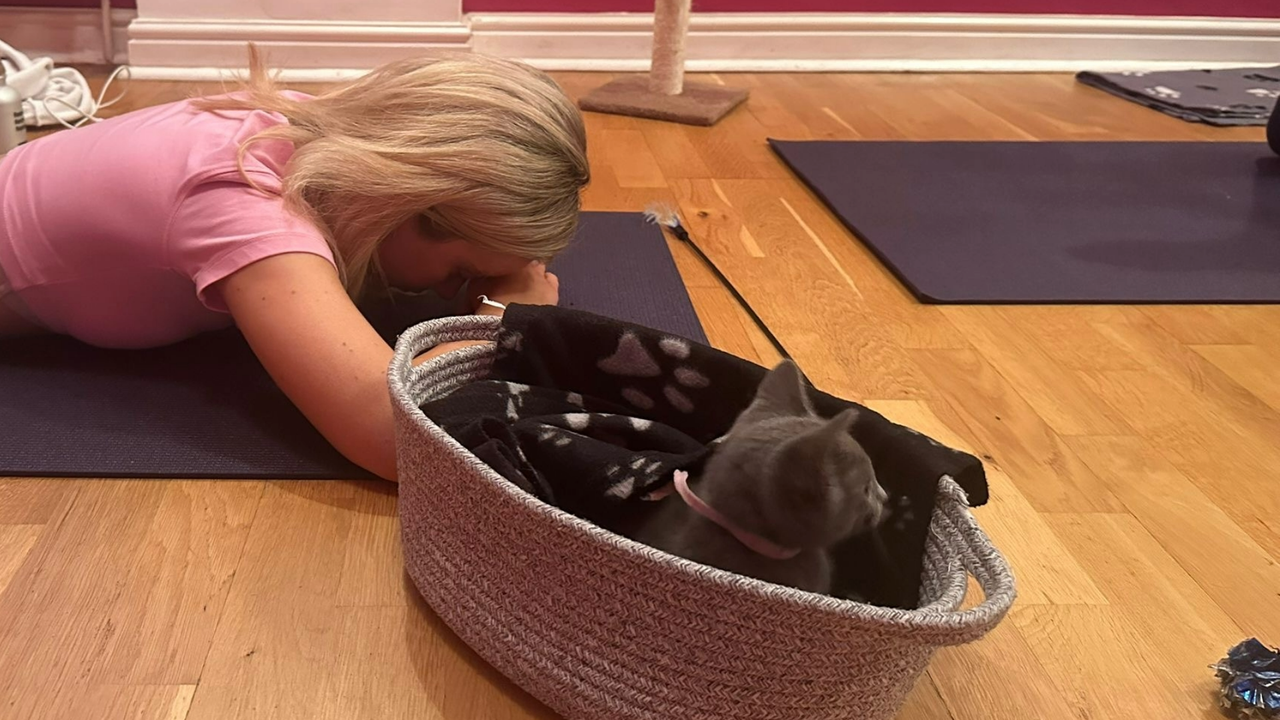 Megan lying down on a yoga mat next to a basket with a kitten instead