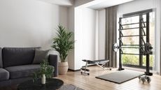 A workout space with a weight rack and pull up bar in the bay window of a white living room