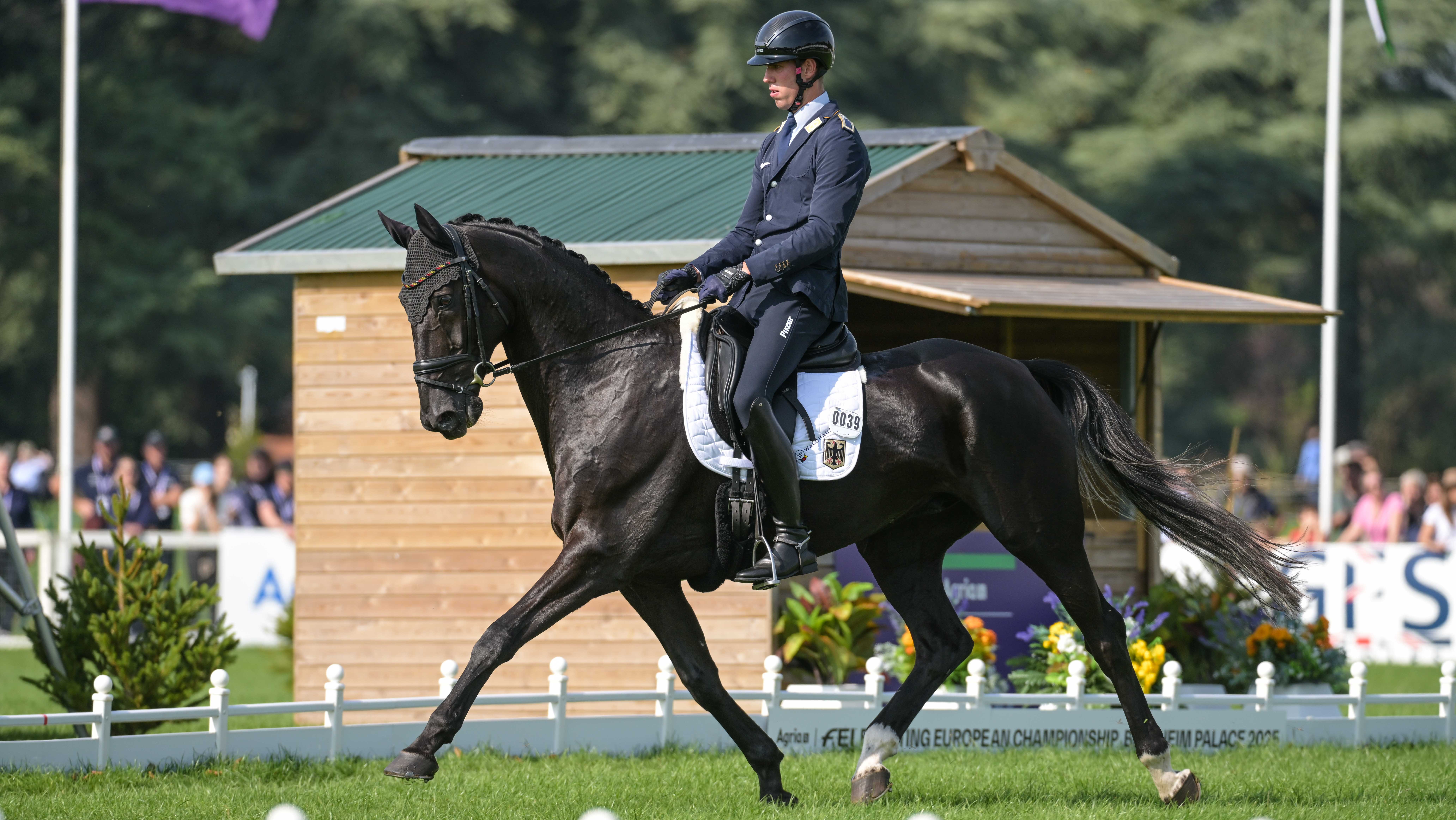 Blenheim European Championships dressage: Je&amp;#769;ro&amp;#770;me Robine&amp;#769; and Black Ice