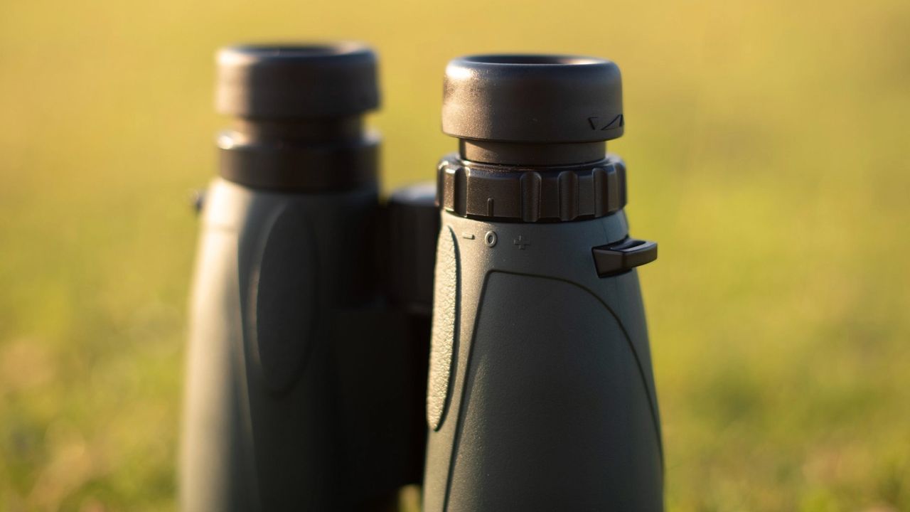 Celestron Nature DX 12x56 against a green background