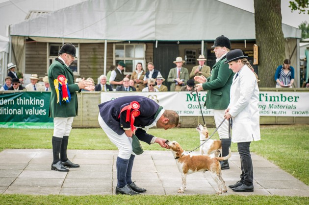 South of England Hound Show June 2015