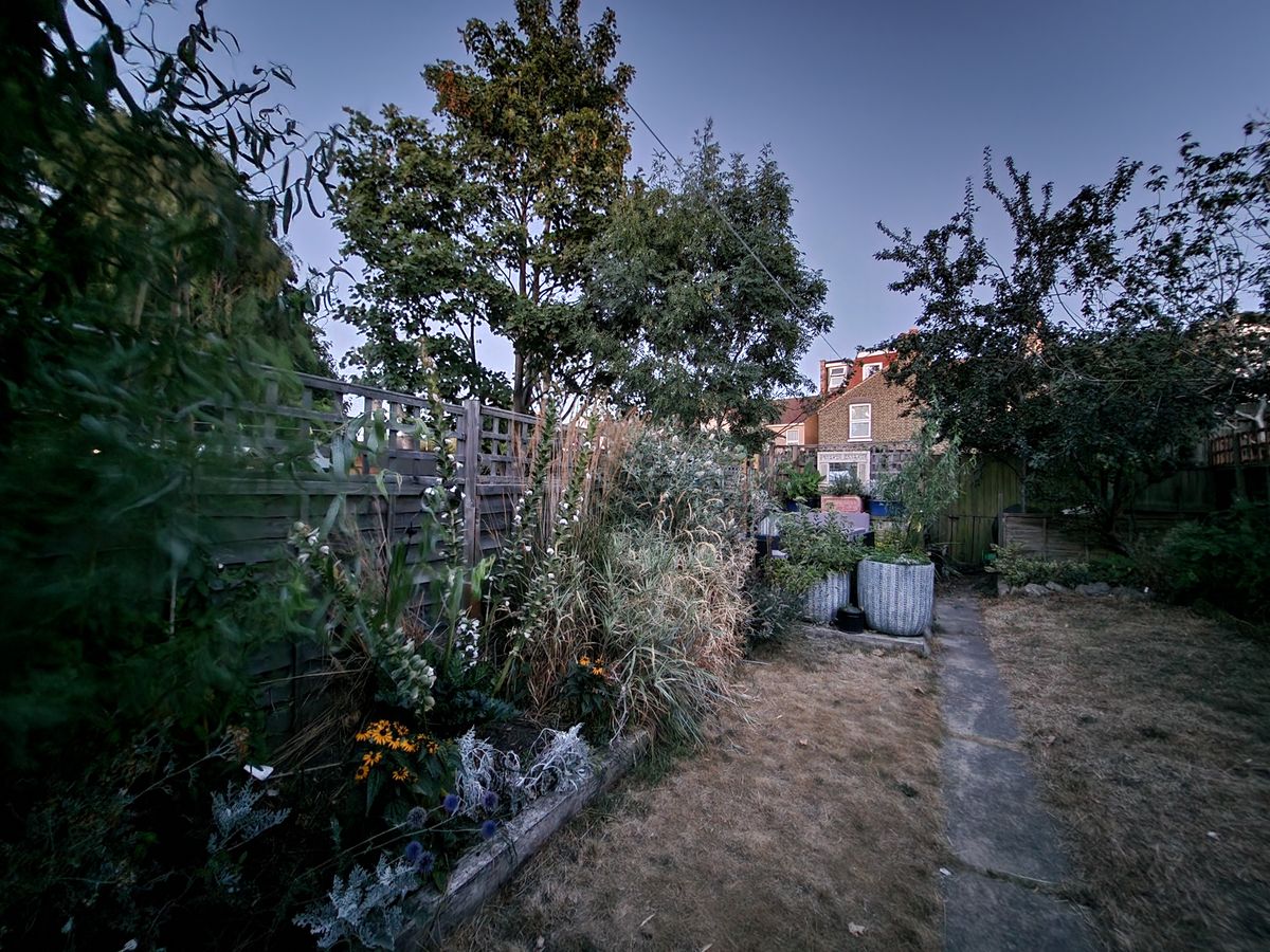 Samsung Galaxy Z Flip 4 camera sample low light garden ultrawide