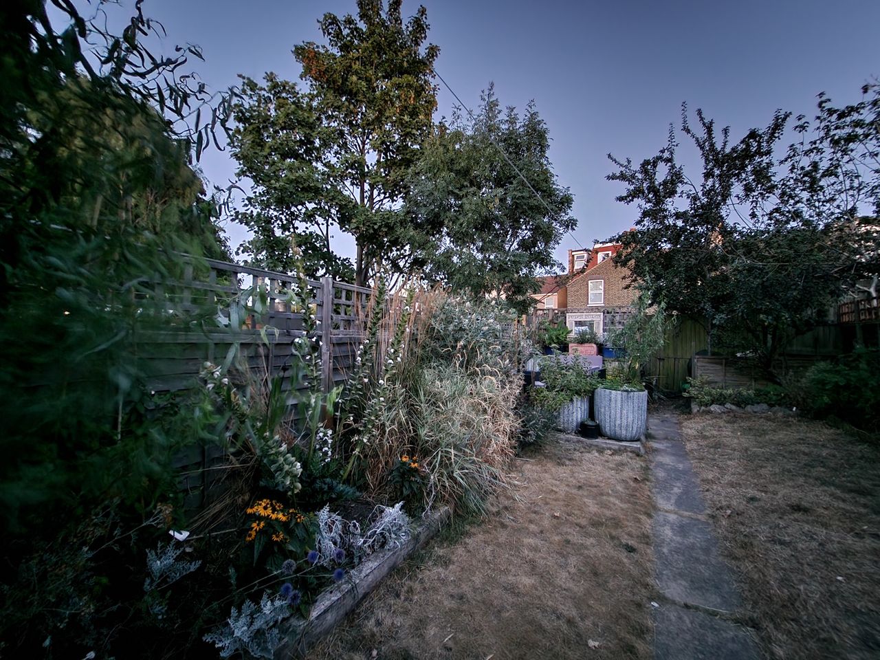 Samsung Galaxy Z Flip 4 camera sample low light garden ultrawide