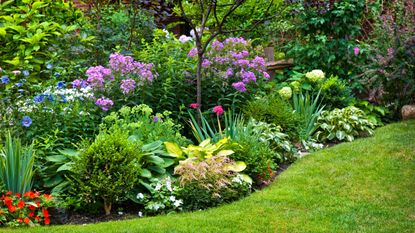 Colorful garden in backyard with grass