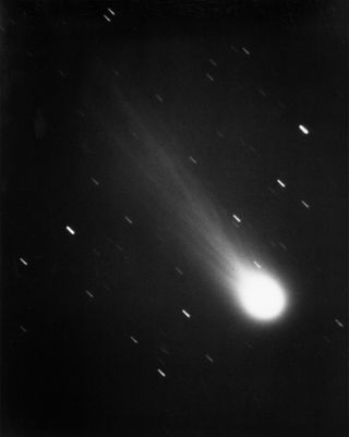 This photograph of Halley's Comet was taken January 13,1986, by James W. Young, resident astronomer of JPL's Table Mountain Observatory in the San Bernardino Mountains, using the 24-inch reflective telescope. <br><br>Streaks caused by the exposure time ar