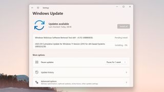 Screenshot of Windows Update app