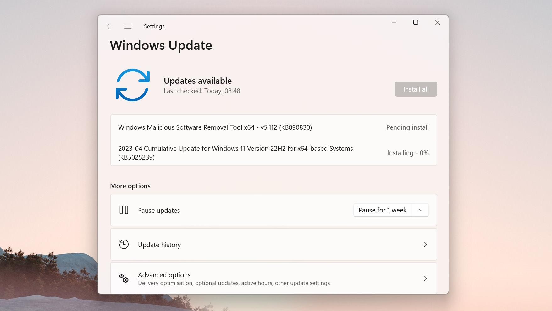 Screenshot of Windows Update app