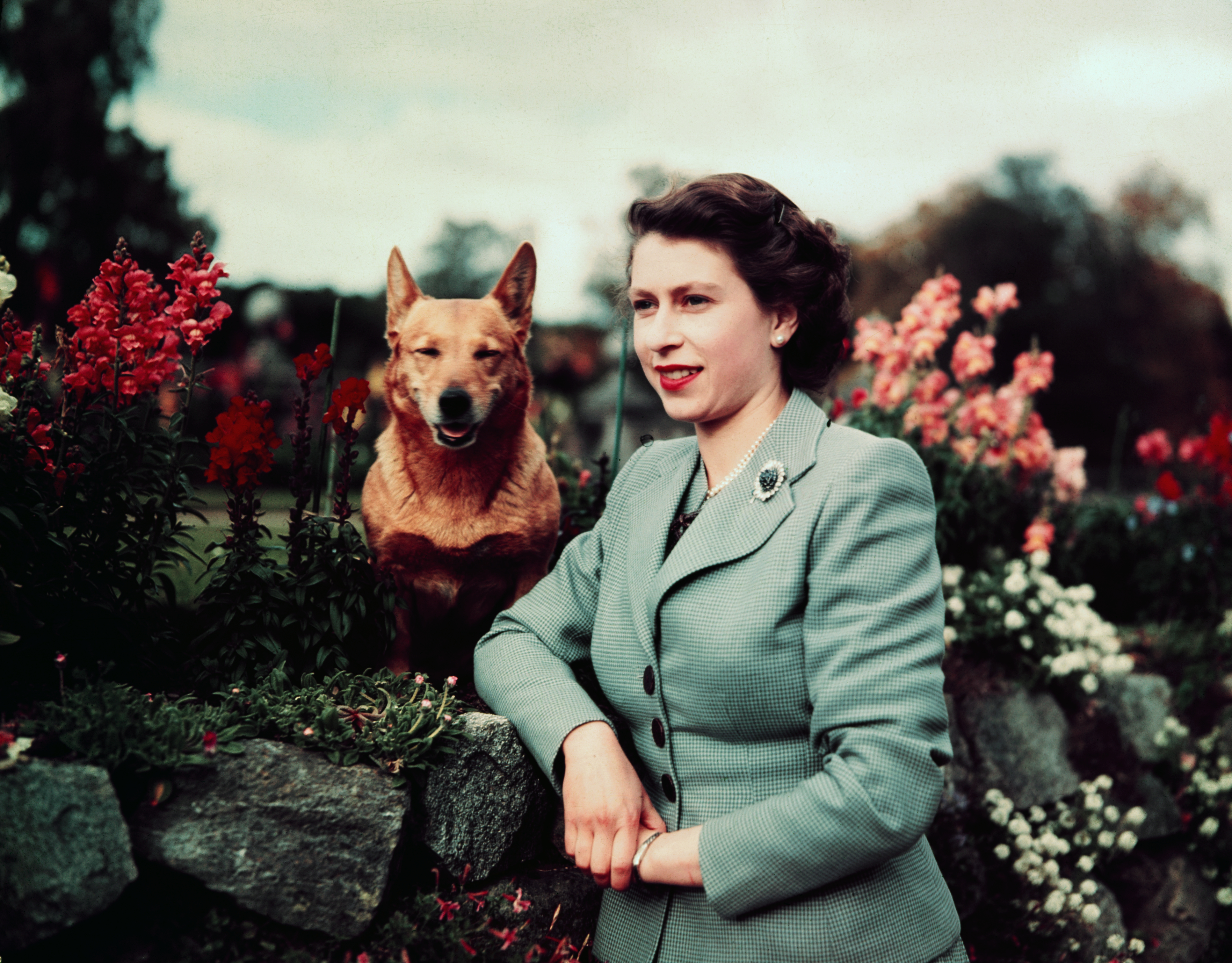 Queen and dog 