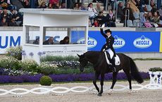 Desperados-FRH_Aachen_PN16_17767.jpg