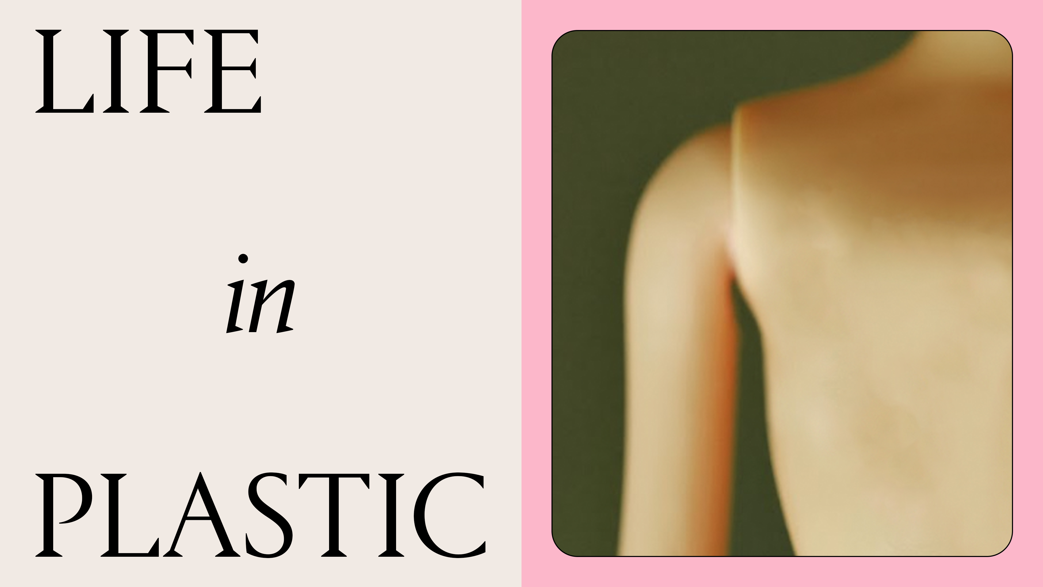 Life in Plastic, a close up of a plastic male barbie doll on a pink back drop next to a light pink background with black text that says "life in plastic"
