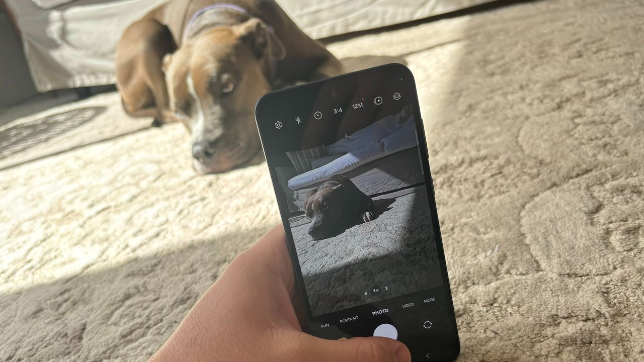 Samsung Galaxy A55 camera