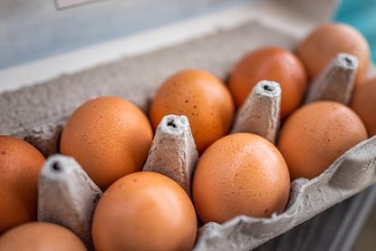 Close up of eggs in an egg carton