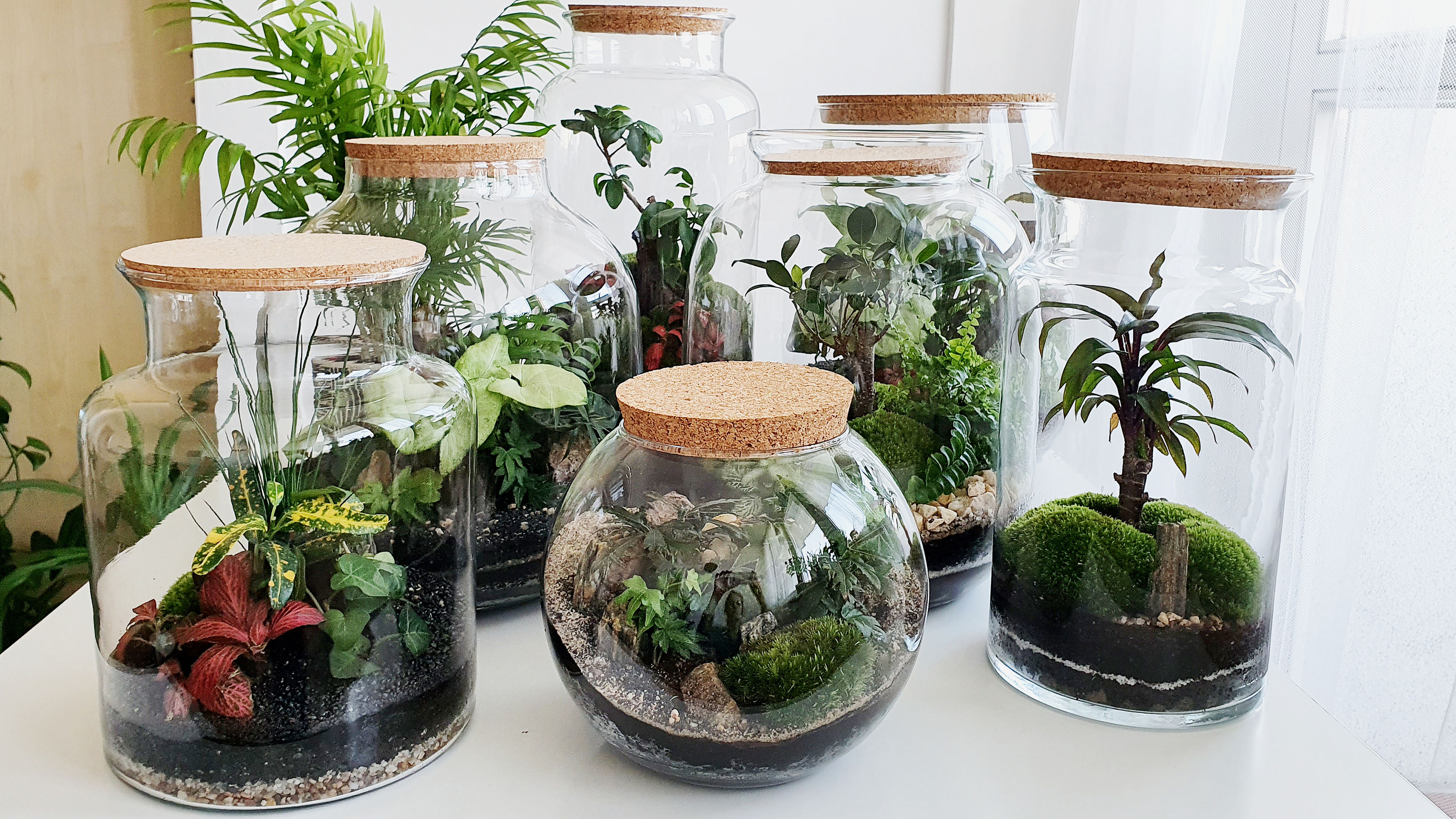 How to make a terrarium in 5 simple steps Gardeningetc