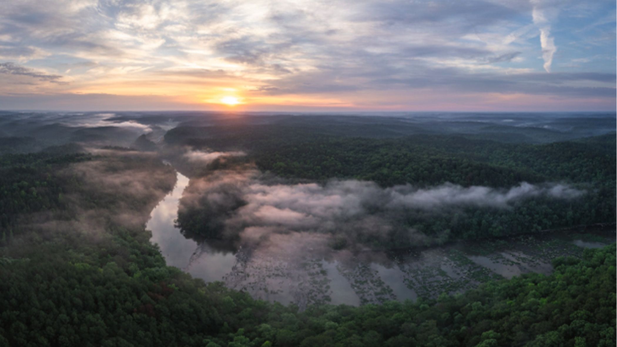 Mac Stone's "American Amazon" Highlights Southeastern Biodiversity