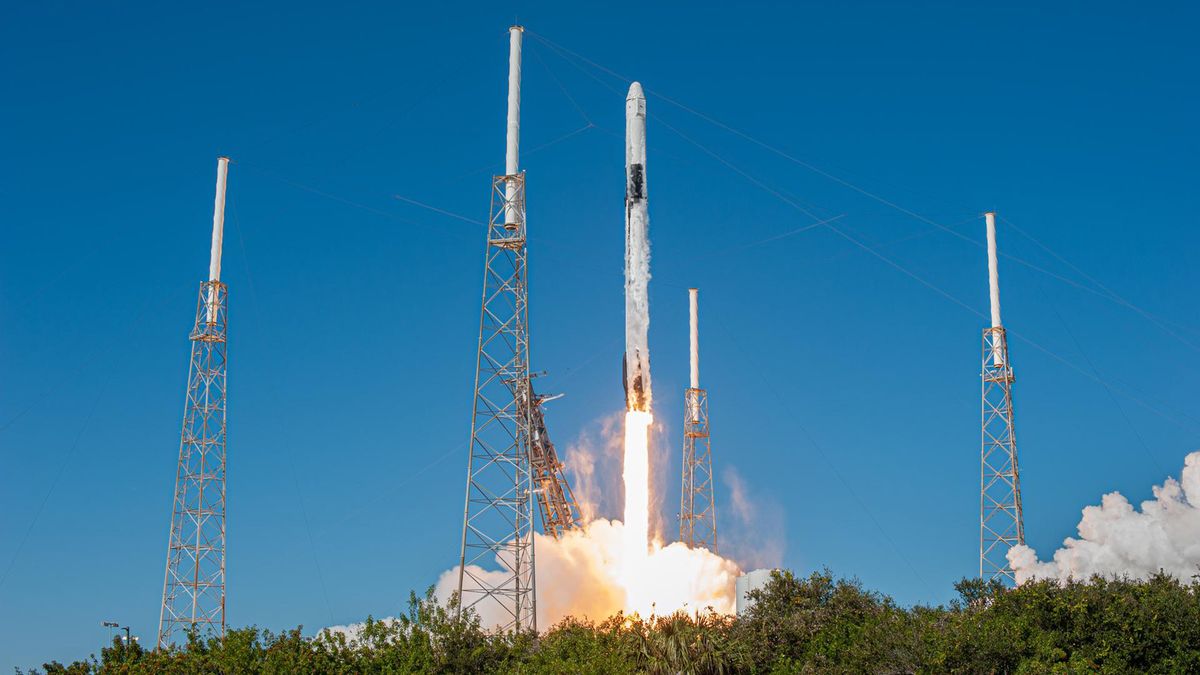 Spaceflight may harm the reproductive system of astronauts' kids and grandkids, early mouse study suggests